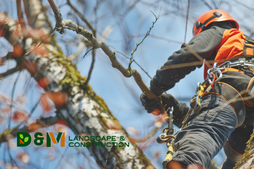 Winter-Ready Yards: Why November Is the Best Time to Prune, Protect, and Prep Your Landscape