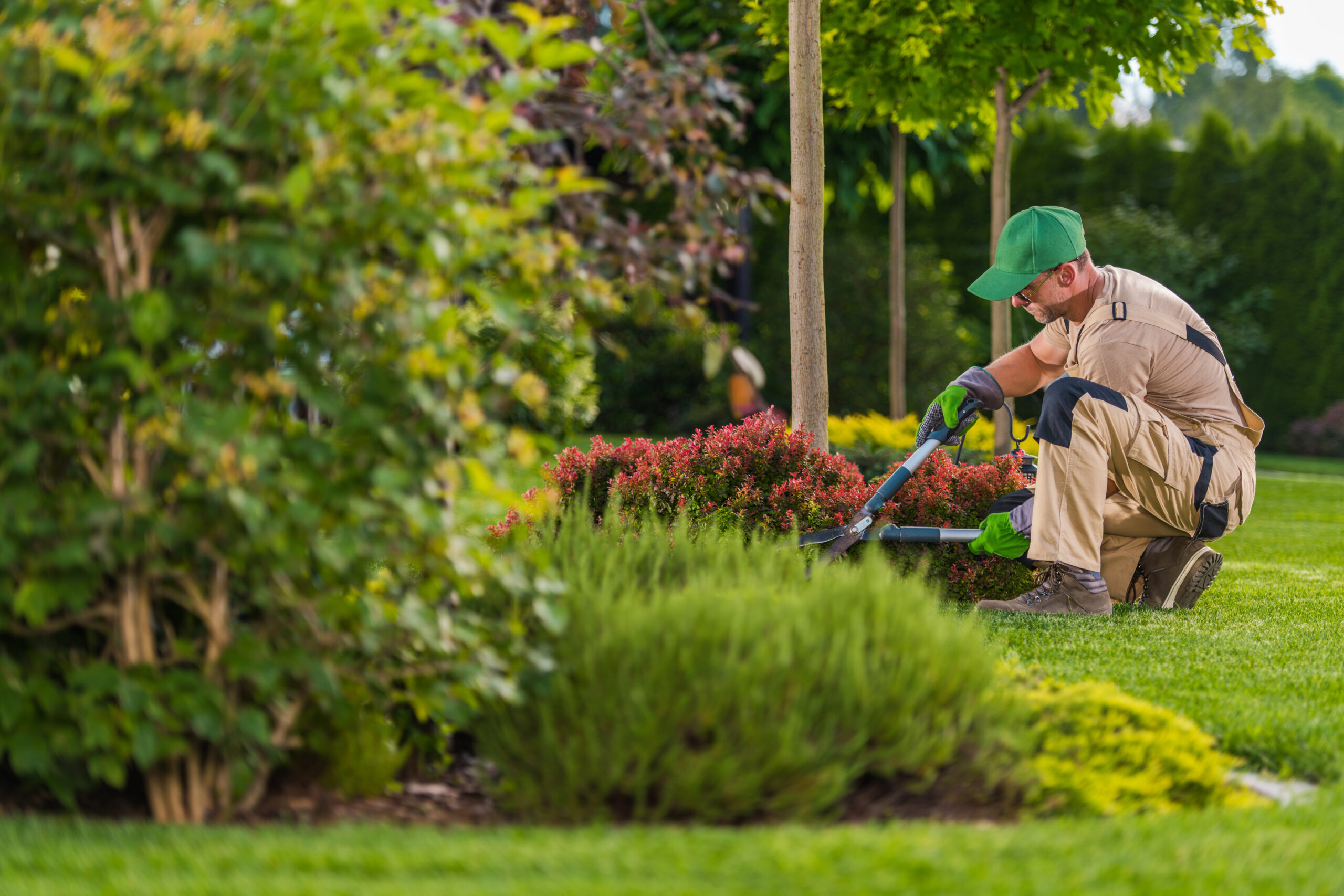 Custom landscape and hardscape installation in Natick, MA by D & M Landscape and Construction
